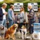 Paws at the Polls Celebrating Dogs at UK Polling Stations